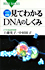 DVD＆図解　見て分かるDNAのしくみ