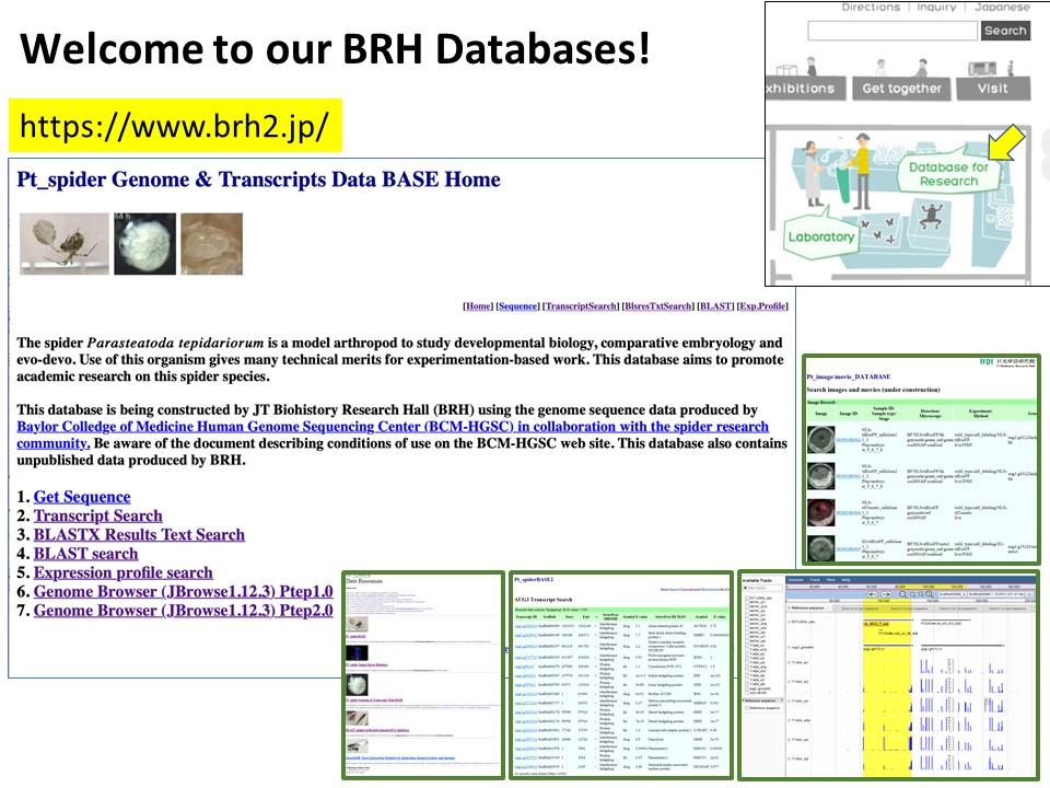 Welcome to our BRH Database