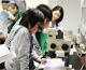 昆虫ゲノムからみた化学受容体の現状