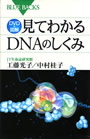 『DVD&図解　見てわかるDNAのしくみ』