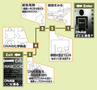 あなたの中のDNA