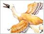 エルマー・バイオヒストリーの冒険−鳥になったリュウ