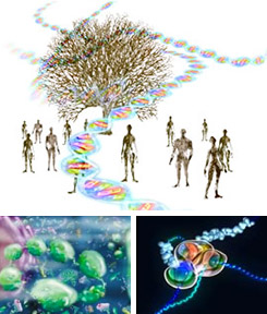 DNAって何? What's DNA? Part1-3