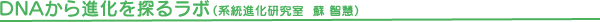 DNAから進化を探るラボ（系統進化研究室 蘇 智慧）