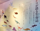 新展示「エルマー・バイオヒストリーの冒険―鳥になったリュウ」が登場！