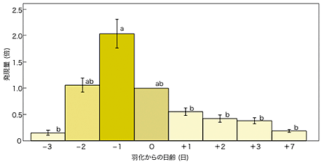 図1