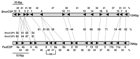 図6