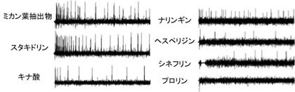 図１　電気生理応答例（クロアゲハ雌）