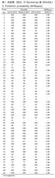 表1.系統樹(図3)の Bootstrap値(RAxML)と Posterior probability(MrBayes).