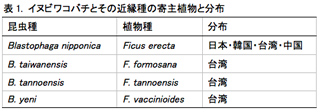 表1. イヌビワコバチとその近縁種の寄主植物と分布