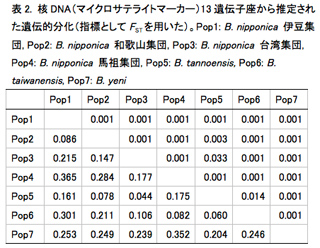 表2. 核DNA（マイクロサテライトマーカー）13遺伝子座から推定された遺伝的分化（指標としてFSTを用いた）。Pop1: B. nipponica 伊豆集団, Pop2: B. nipponica 和歌山集団, Pop3: B. nipponica 台湾集団, Pop4: B. nipponica 馬祖集団, Pop5: B. tannoensis, Pop6: B. taiwanensis, Pop7: B. yeni