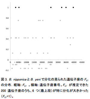 図3. B. nipponicaとB. yeniで分化の見られた遺伝子座のFSTの分布．縦軸：FST 。横軸：遺伝子座番号。FST が推定できた200遺伝子座のうち、6つ（最上段）が特に分化が大きかった（FST=1）。