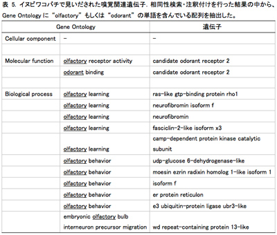 表5. イヌビワコバチで見いだされた嗅覚関連遺伝子．相同性検索・注釈付けを行った結果の中から、Gene Ontologyに 'olfactory' もしくは 'odorant' の単語を含んでいる配列を抽出した。
