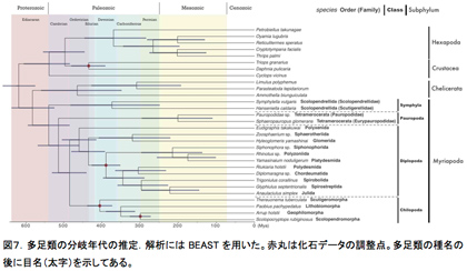 図７．多足類の分岐年代の推定．解析にはBEASTを用いた。赤丸は化石データの調整点。多足類の種名の後に目名（太字）を示してある。