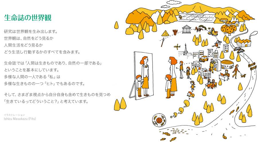 研究は世界観を生み出します。世界観は、自然をどう見るか・人間生活をどう見るか・どう生活し行動するかのすべてを含みます。生命誌では「人間は生きものであり、自然の一部である」ということを基本にしています。多様な人間の一人である「私」は、多様な生きものの一つ「ヒト」でもあるのです。そして、さまざま視点から自分自身も含めて生きものを見つめ、「生きているってどういうこと?」と考えています。