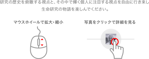 研究の歴史を俯瞰する視点と、その中で輝く個人に注目する視点を自由に行き来し、生命研究の物語を楽しんでください。「マウスホイールで拡大・縮小」「写真をクリックで詳細を見る」