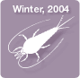 Winter, 2004