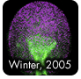 Winter, 2005