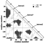 Biophysics, which connects evolution to the form of proteins