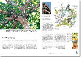 生命誌32号