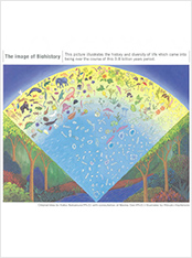 Special International Edition 2005