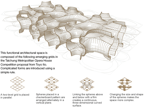 Biohistory Journal, Autumn, 2007