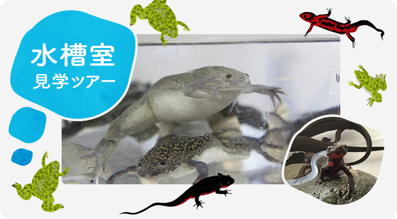 水槽室見学ツアー