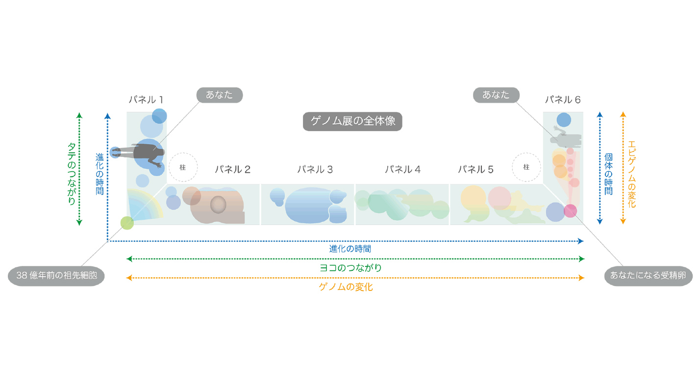 ゲノム展の全体像