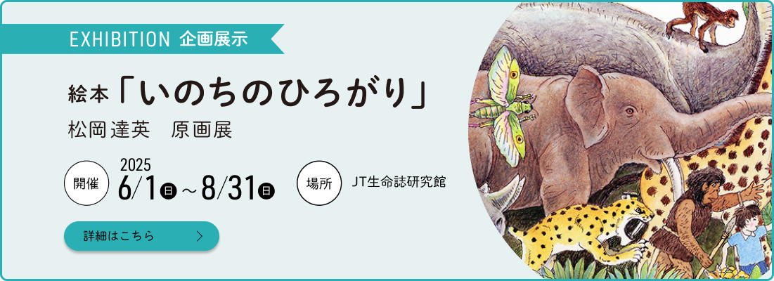 企画展示　食草園が誘う昆虫と植物のかけひきの妙