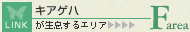 LAQn̐GAցc