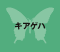 LAQn