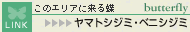 ̃GAɗ钱@}gVW~ExjVW~