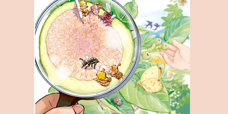 「イヌビワ探検！〜見えない世界のヒミツを大発見〜」 JT生命誌研究館・あくあぴあ芥川共催