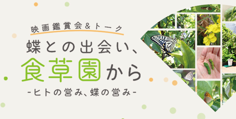 映画鑑賞会&トーク「蝶との出会い、食草園から -ヒトの営み、蝶の営み-」