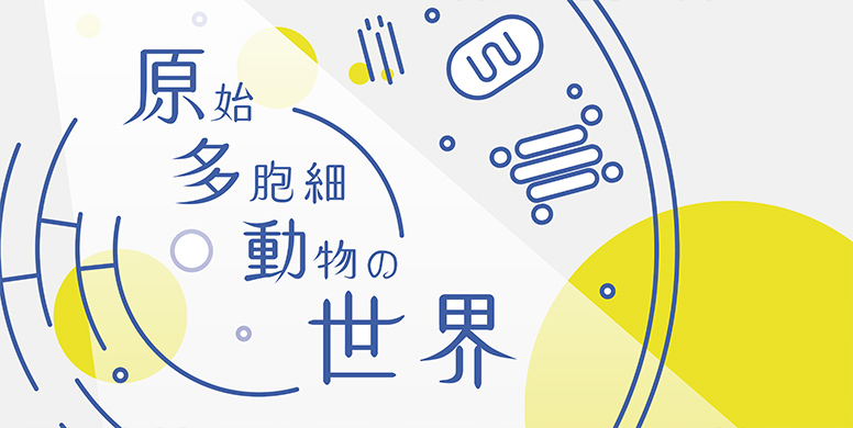 公開シンポジウム「生きものの多様性の源泉を探る＜分子構造の進化から見る世界＞」