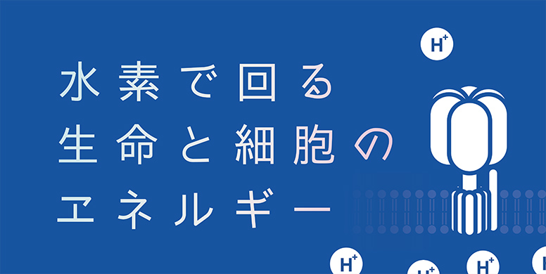 生命誌レクチャー「水素で回る生命と細胞のエネルギー」