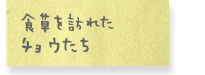 食草を訪れたチョウたち