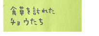 食草を訪れたチョウたち