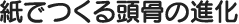 紙でつくる頭骨の進化
