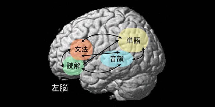 文法　文章理解　音韻　単語