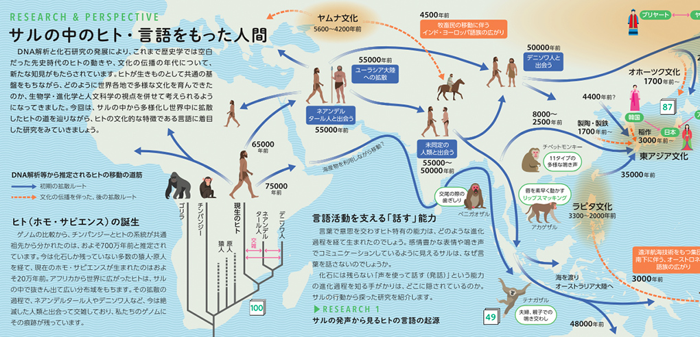 SPECIAL STORY 生きもののつながりの中の人間 生命誌のこれから