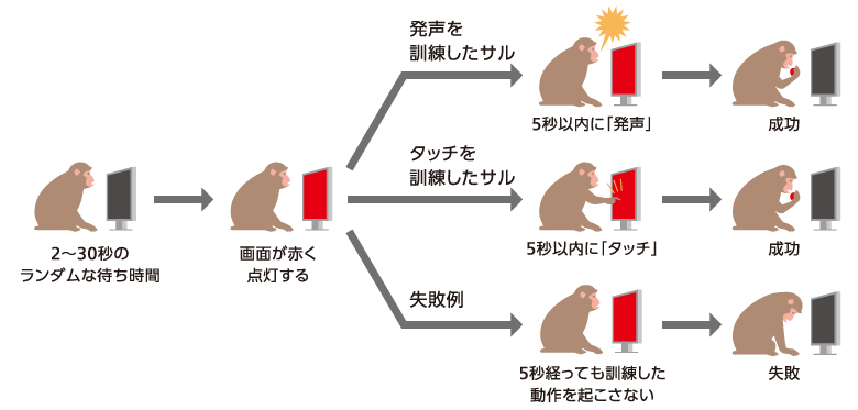 サルの発声から見るヒトの言語の起源 季刊 生命誌 102号 Jt生命誌研究館 Jt生命誌研究館