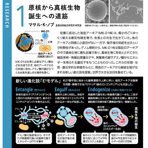 ヒレから指へ、上陸の進化史を探る 中村哲也 ラトガース・ニュージャージー州立大学