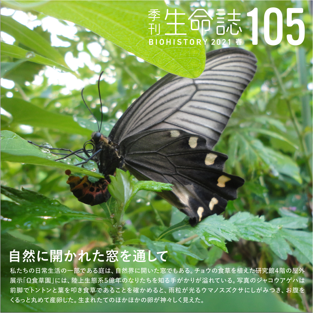 季刊生命誌105