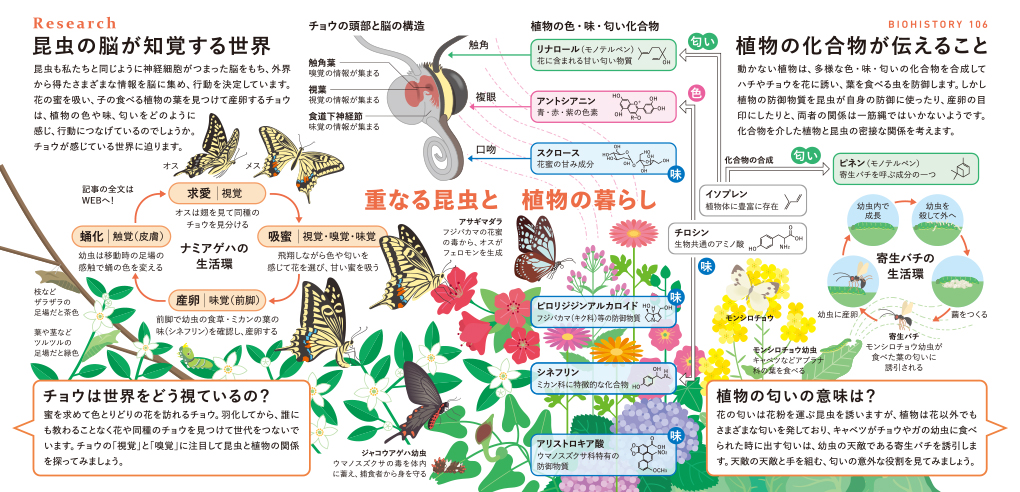 RESEARCH　ようこそ!Ω食草園へ