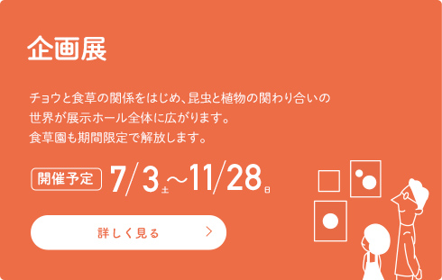 【企画展】チョウと食草の関係をはじめ、昆虫と植物の関わり合いの世界が展示ホール全体に広がります。食草園も期間限定で解放します。[開催予定]7/3〜11/28