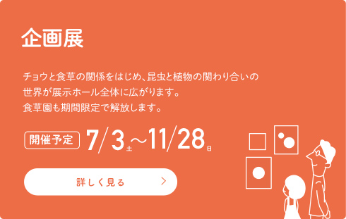 【企画展】チョウと食草の関係をはじめ、昆虫と植物の関わり合いの世界が展示ホール全体に広がります。食草園も期間限定で解放します。[開催予定]7/3〜11/28