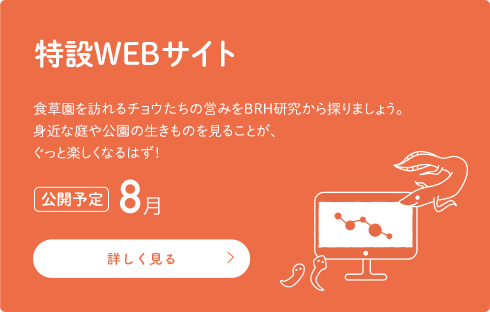 【特設WEBサイト】食草園を訪れるチョウたちの営みをBRH研究から探りましょう。身近な庭や公園の生きものを見ることが、ぐっと楽しくなるはず！[公開予定]8月