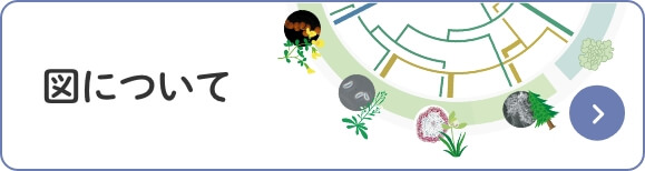 図について