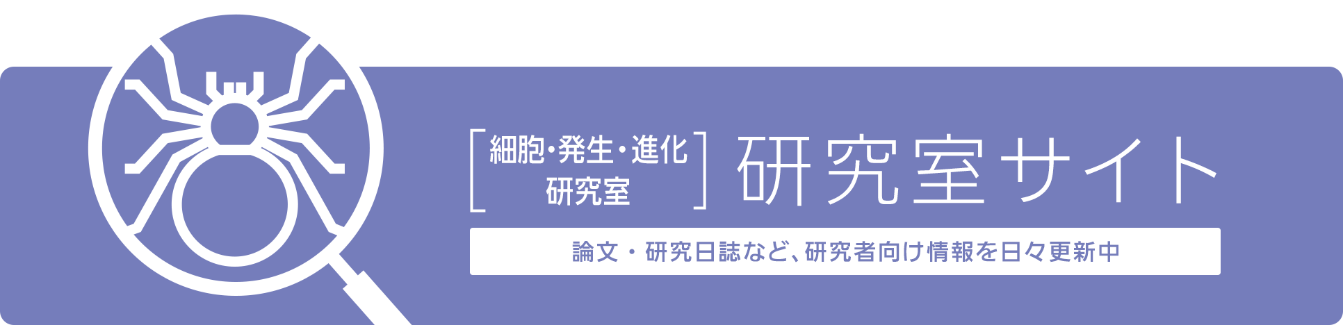 [細胞・発生・進化研究室]研究室サイト 論文・研究日誌など、研究者向け情報を日々更新中